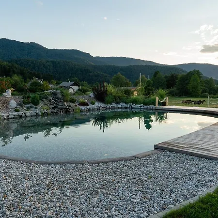 Glamping Happiness With Natural Pool Holiday home